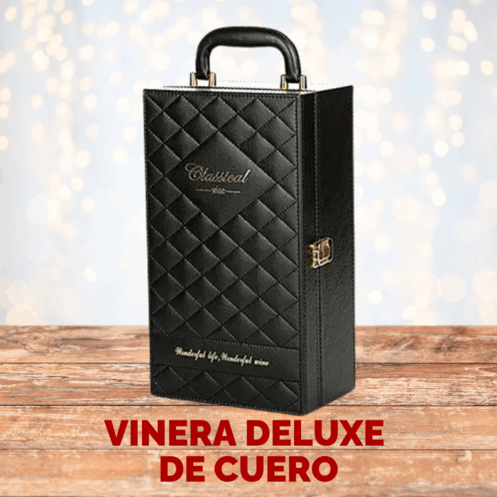 Vinera Gran Turis 1 - Imagen 2